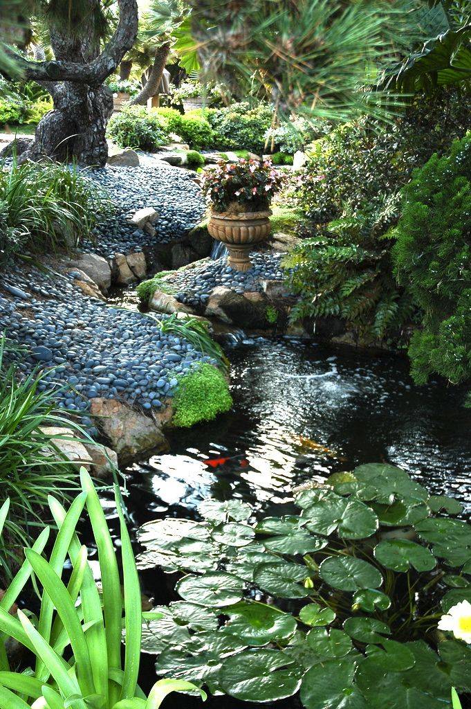 Sublime Koi Pond Designs