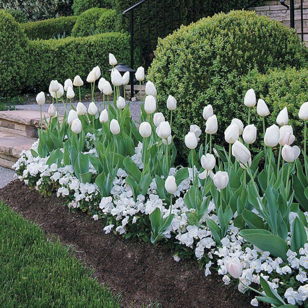 Gorgeous Green And White Garden To Create Calm Atmosphere