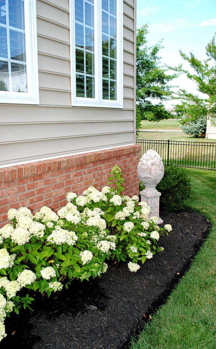 Beautiful Rock Garden Ideas