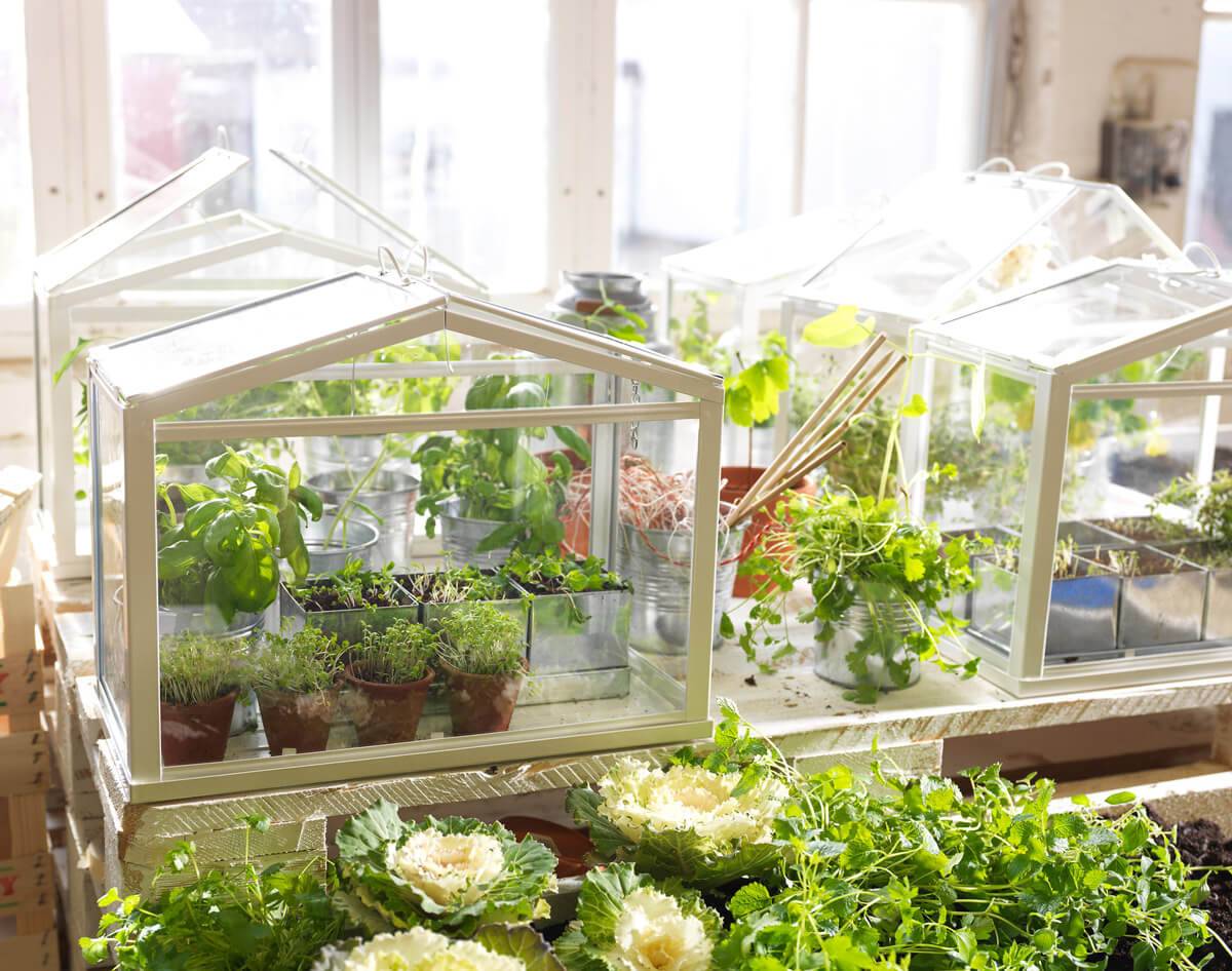 Stunning Greenhouse Indoor Design Ideas