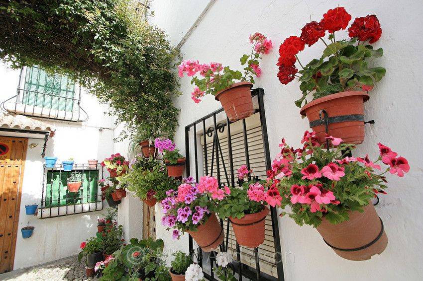 Villa Spanish Style Outdoor Patio Houses Rustic Mediterranean Courtyard