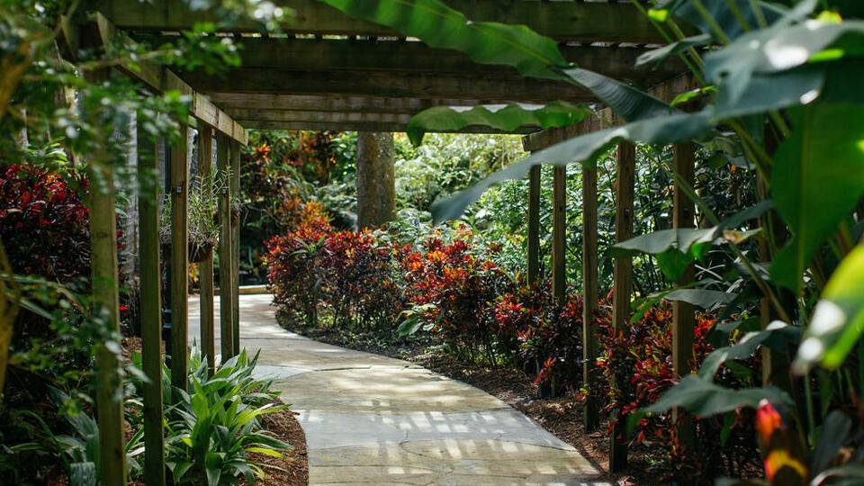 Sunken Gardens St Petersburg Fl