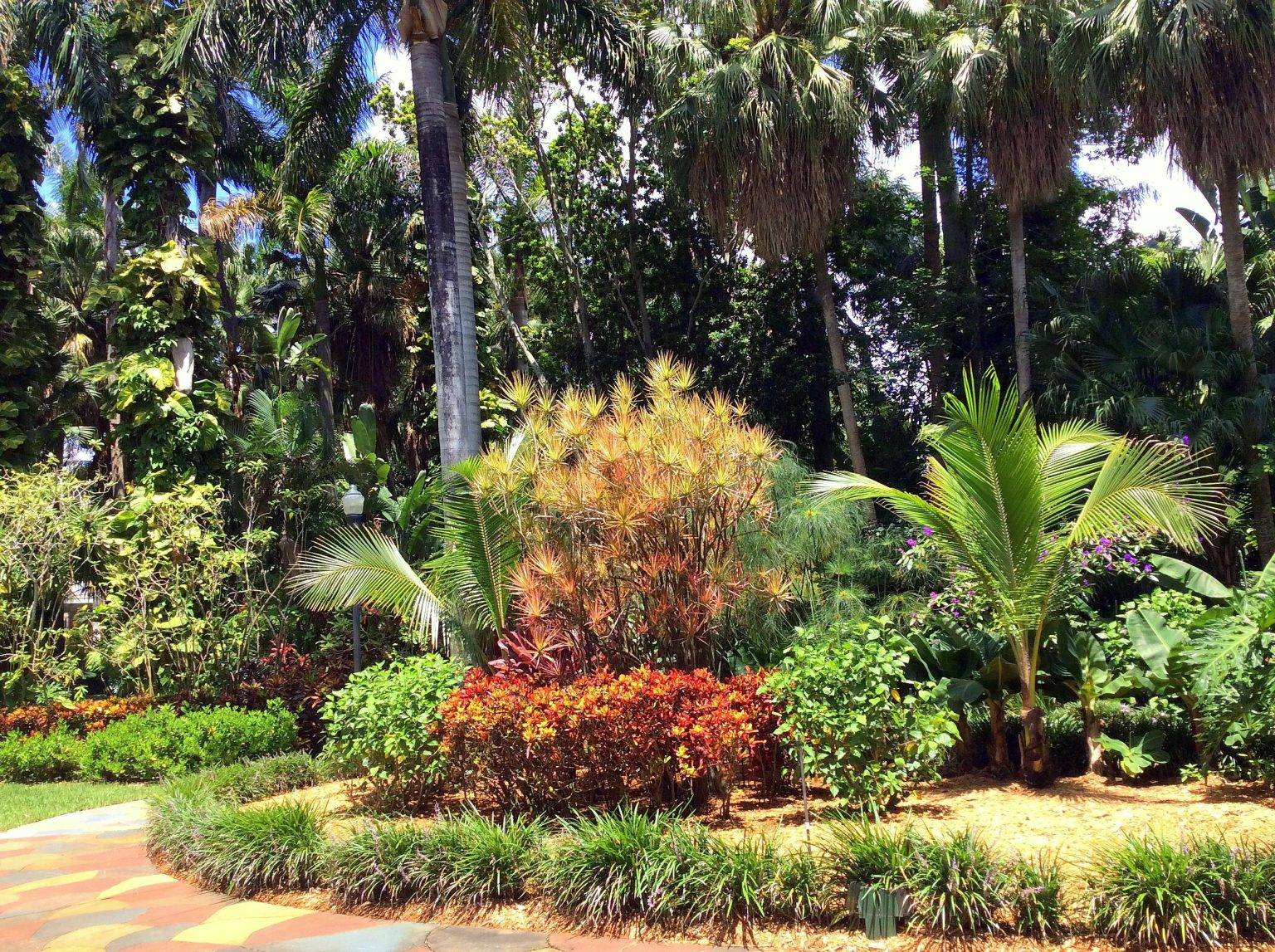 Before You Go Tripadvisor