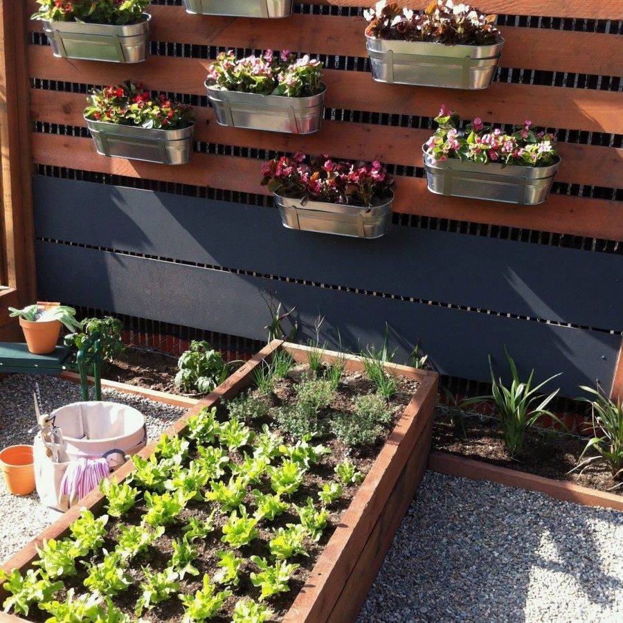 Stunning Vegetable Backyard