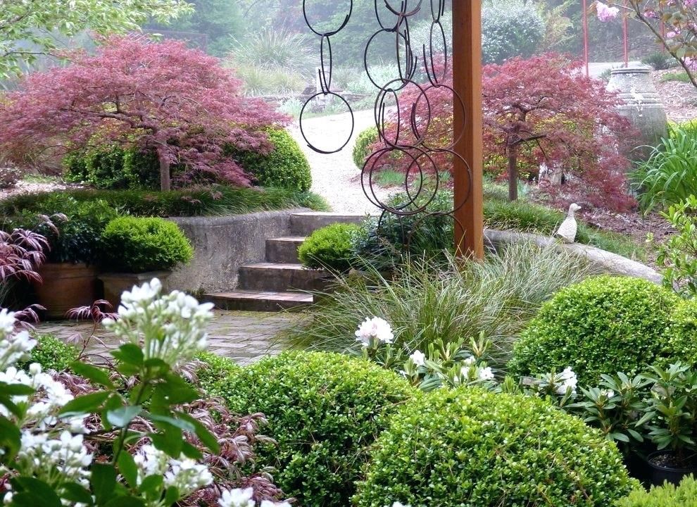 The Creeping Fig White Gardens