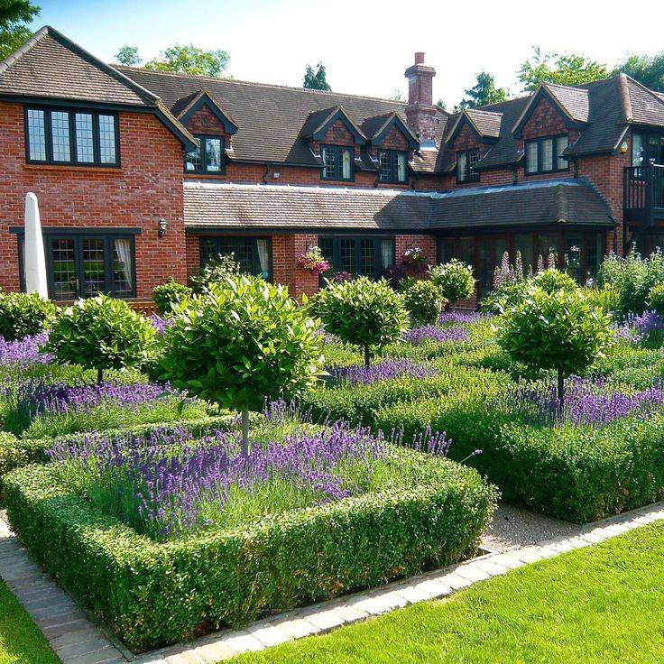 Gardening Software Gardeningwheretostart Boxwood Garden
