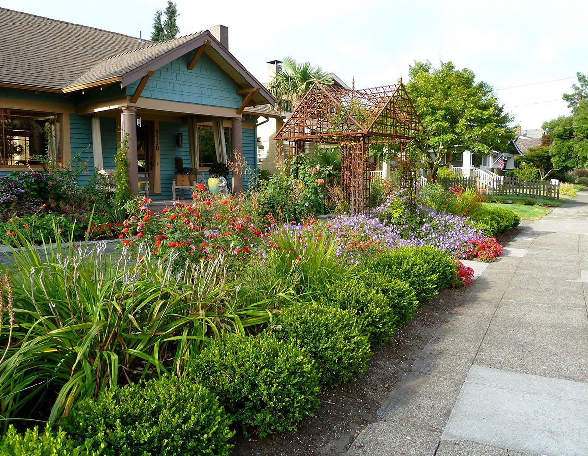 Our Garden Gallery