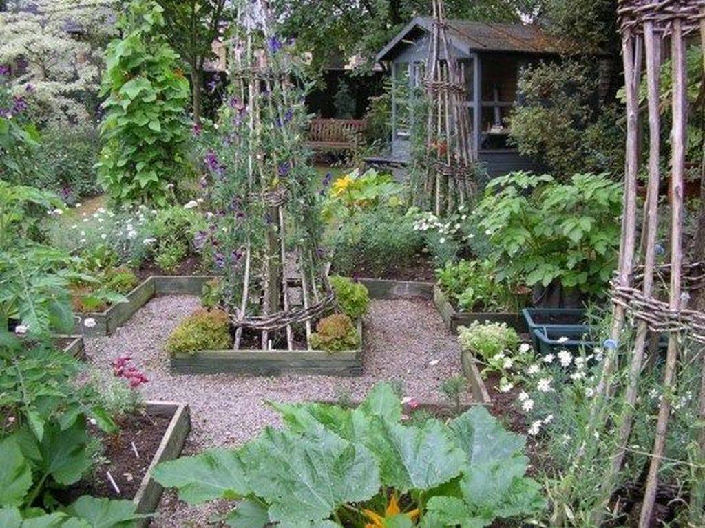 Outstanding Home Vegetable Garden Info
