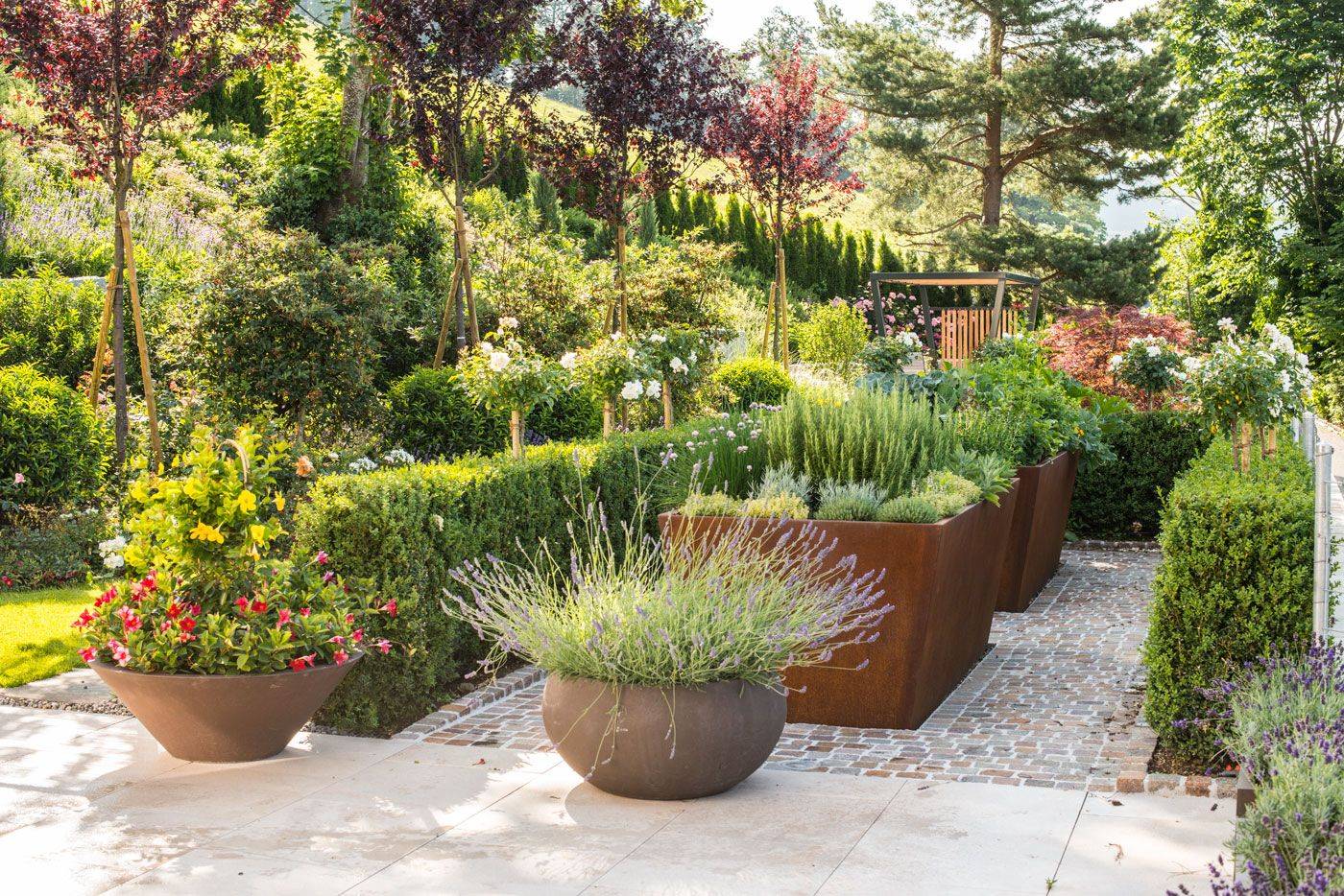 A Home Vegetable Garden