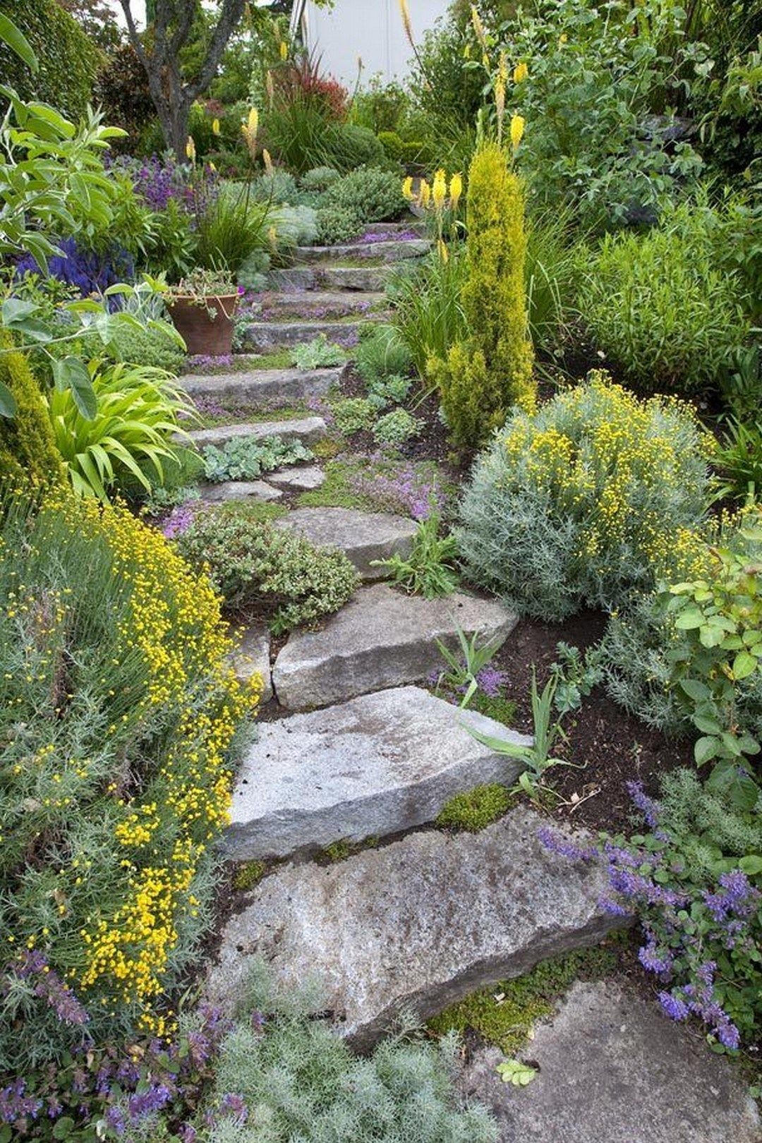 Diy Garden Path Ideas