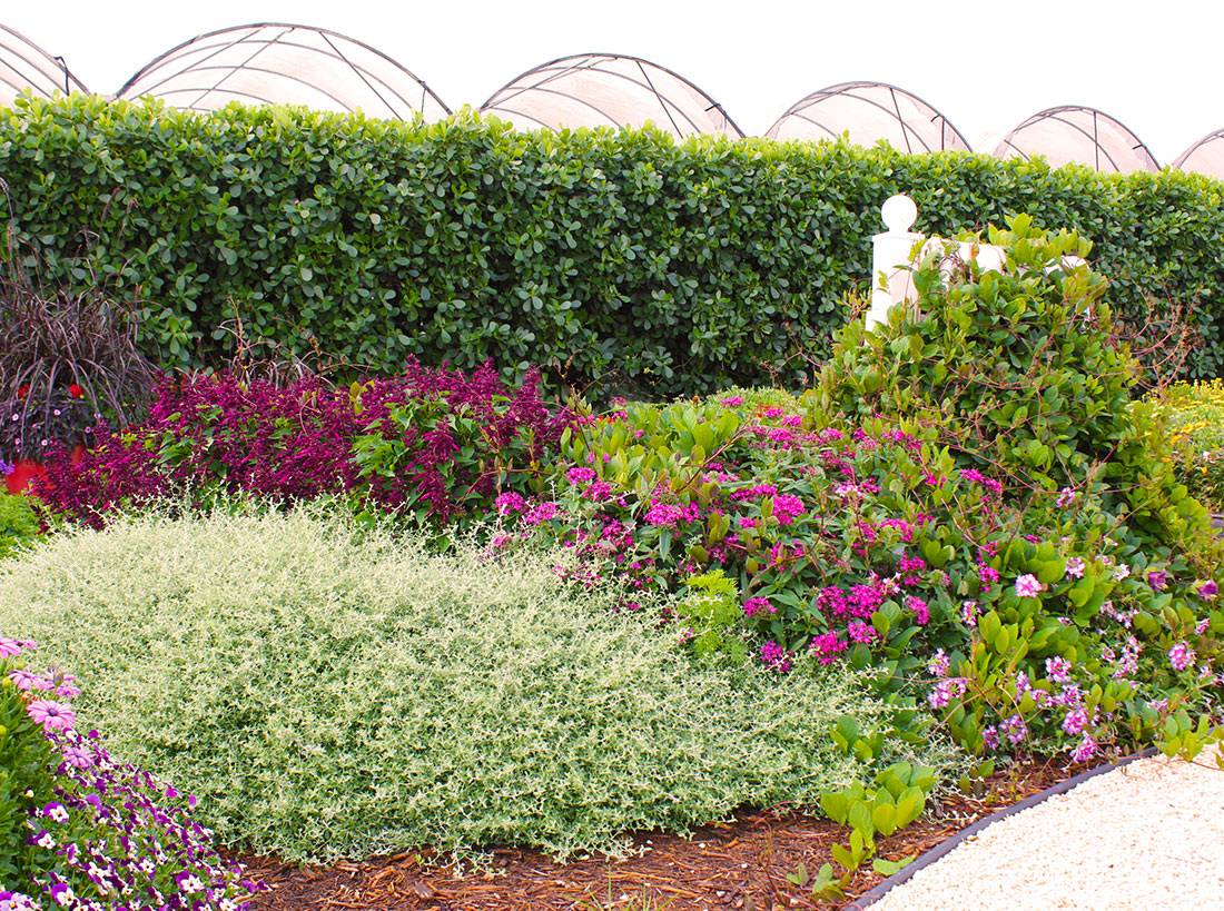 Vintage Mama Constance Summei