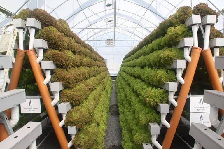 Awesome Indoor Hydroponic Wall Garden Design Ideas Hydroponic