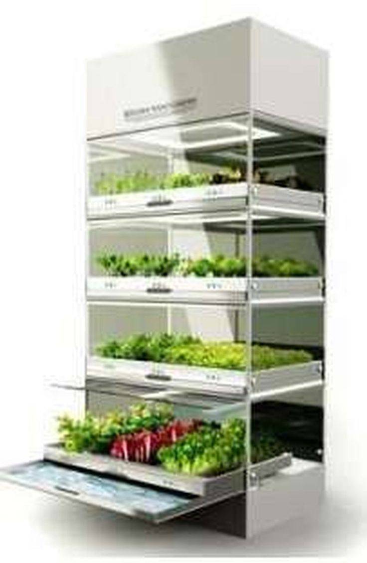 Awesome Indoor Hydroponic Wall Garden Design Ideas Hydroponic