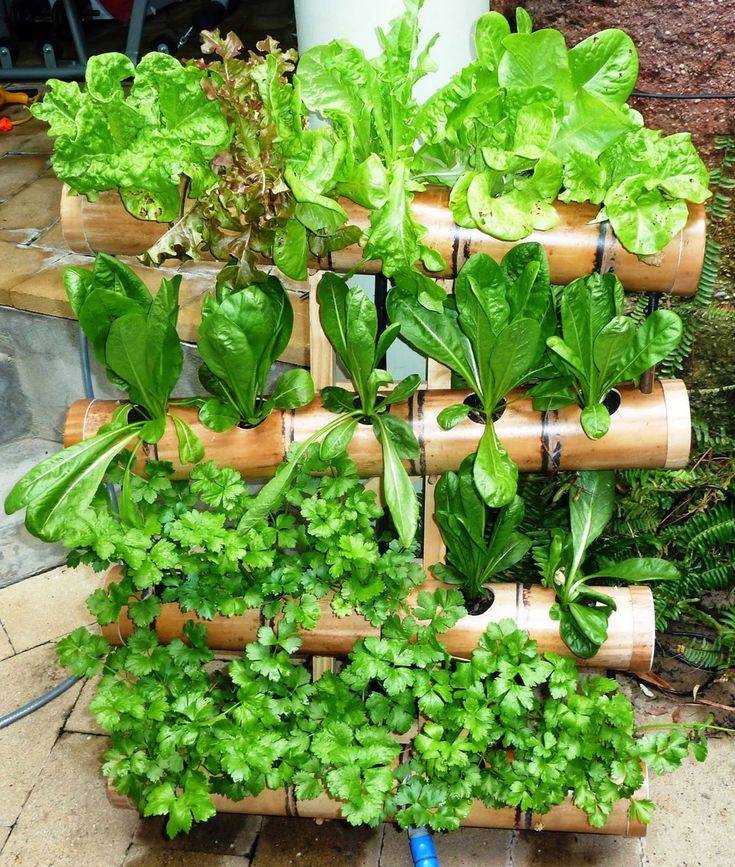 Awesome Indoor Hydroponic Wall Garden Design Ideas
