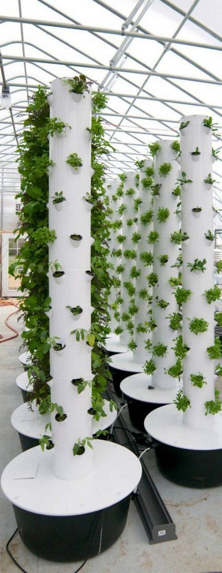 Hydroponicgardens Aquaponics Greenhouse