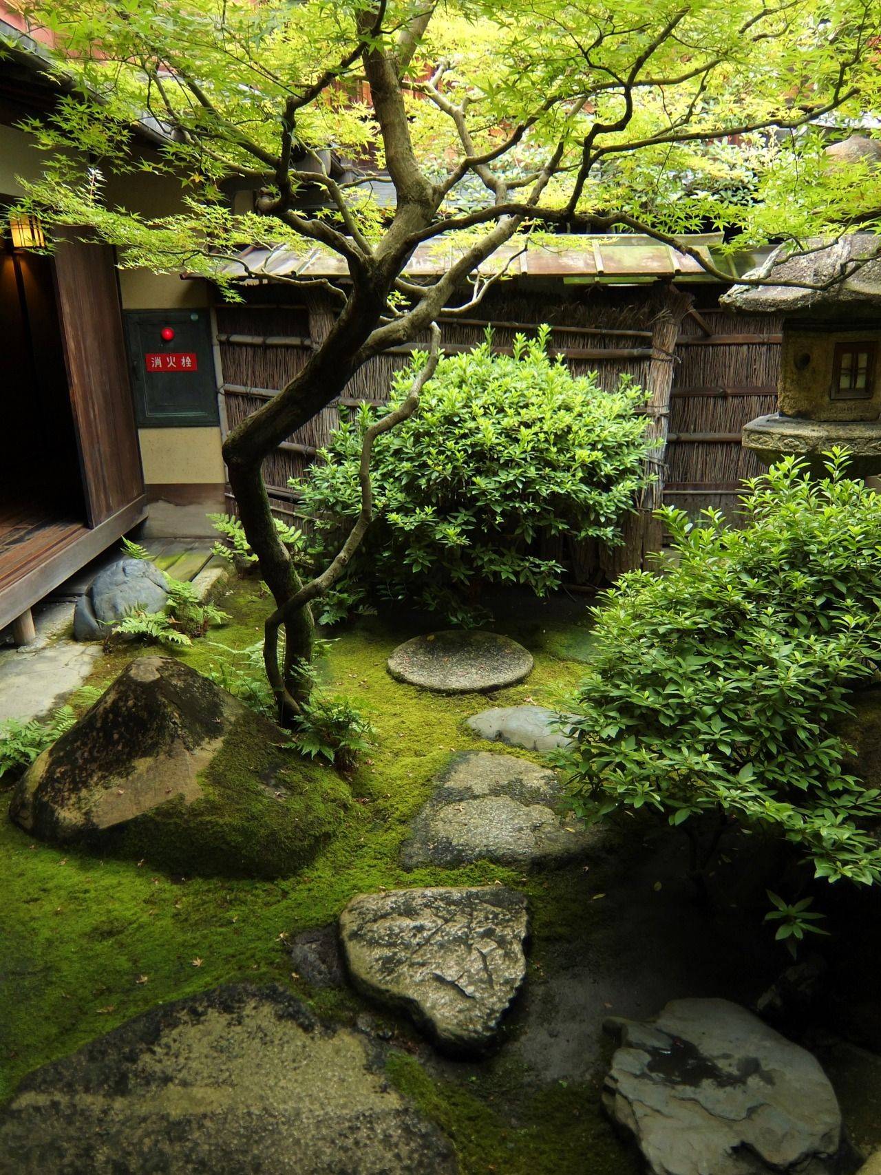 Wonderful Side Yard And Backyard Japanese Garden Design Ideas