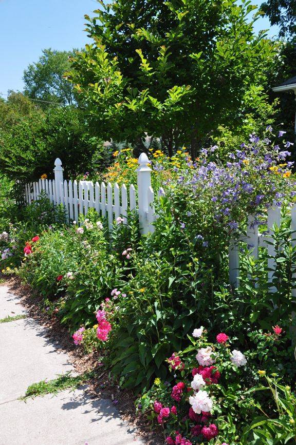White Fence Google Search Picketfencegarden