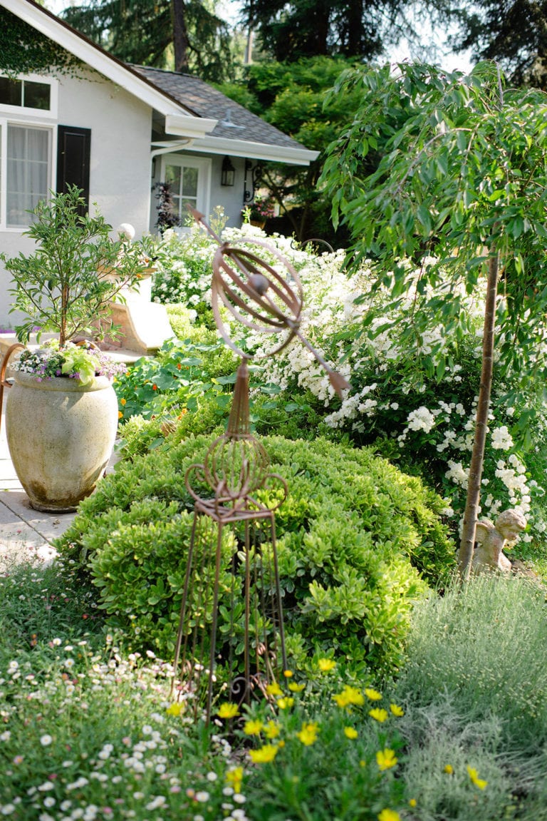 Whimsical Garden Paths