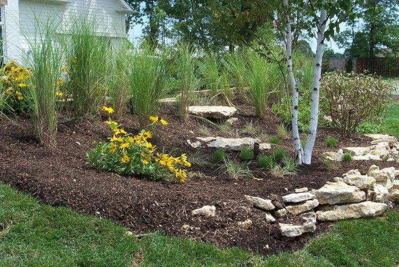 Great Rain Garden Landscaping Design Ideas Page Gardenholic