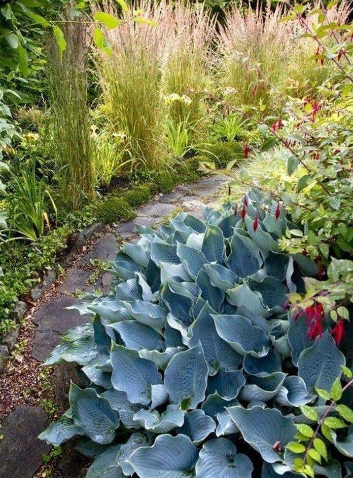 Your Home Front Yard