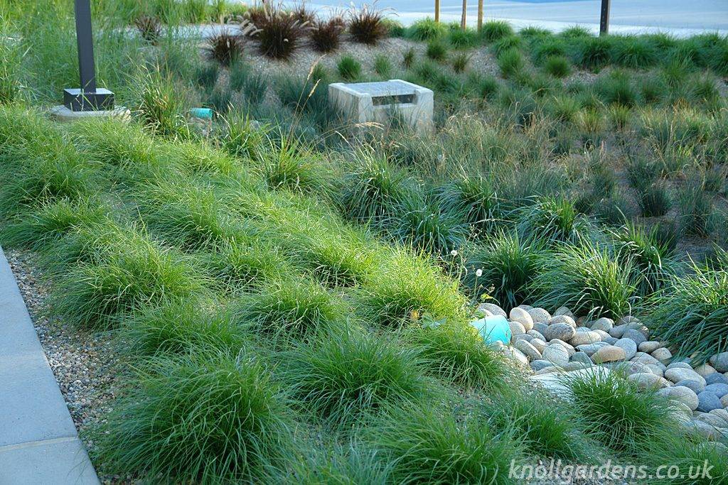 Your Home Front Yard