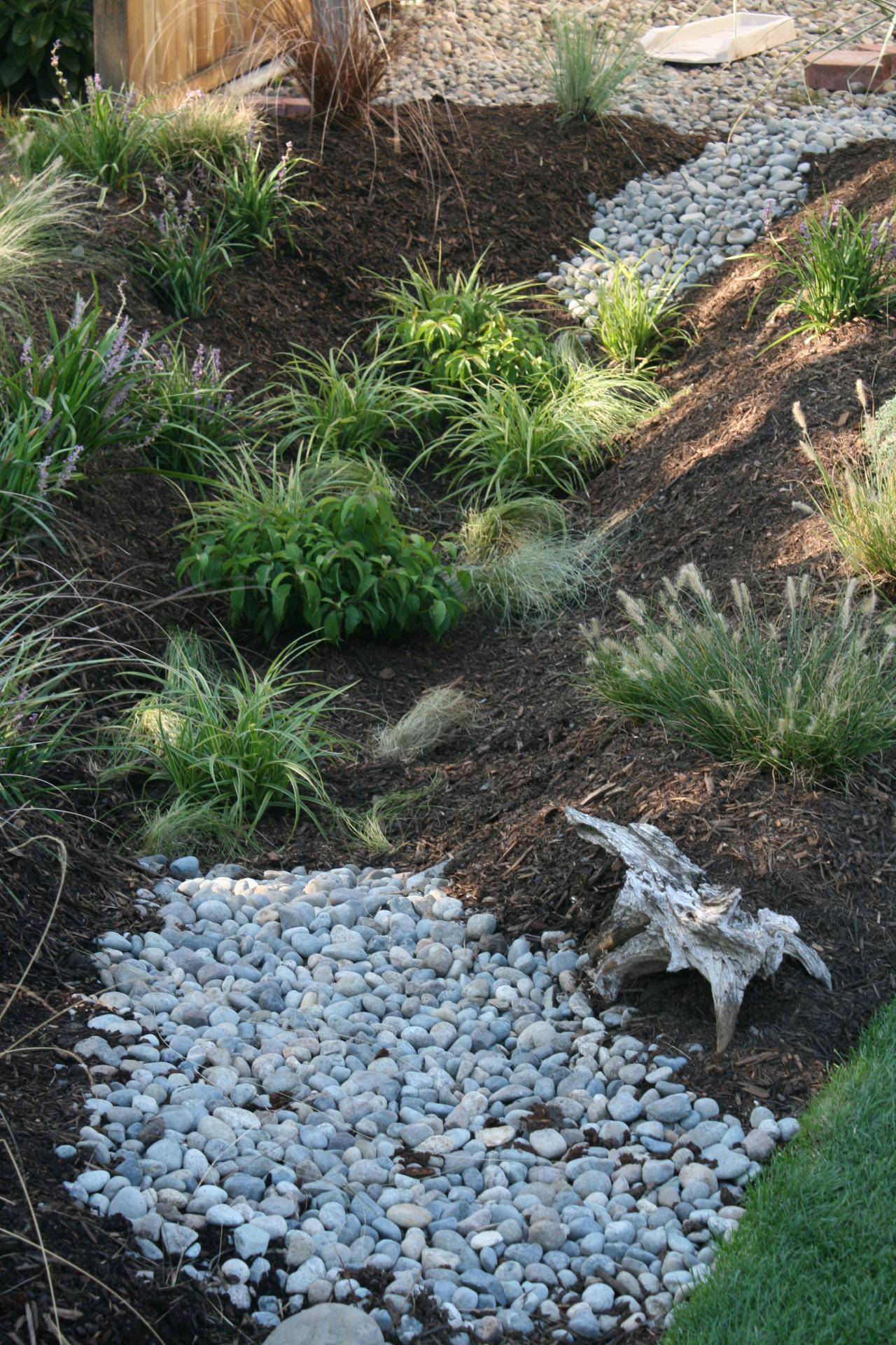Brilliant Diy Rain Garden Ideas