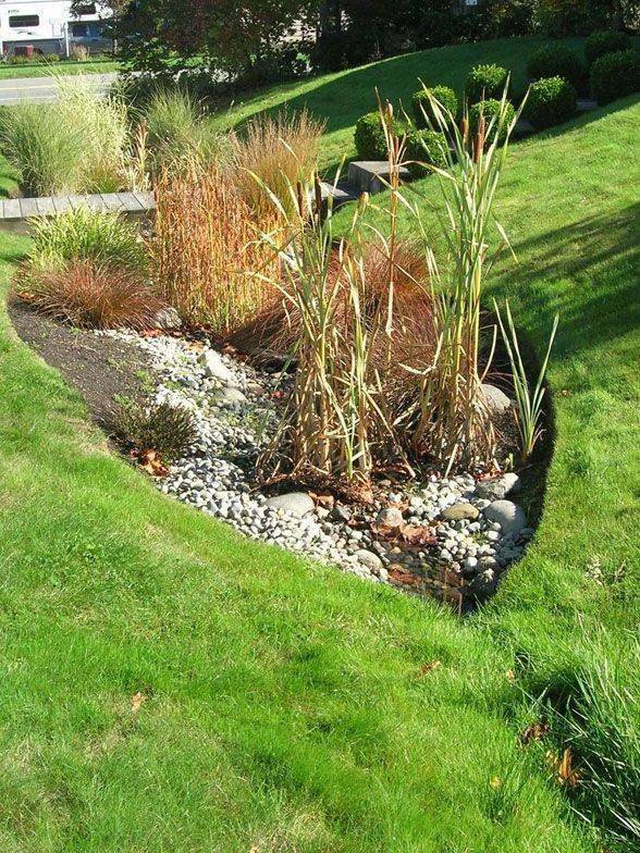 Brilliant Diy Rain Garden Ideas