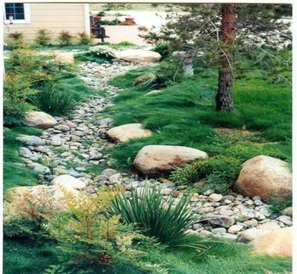 Calamagrostis Brachytricha Google Search