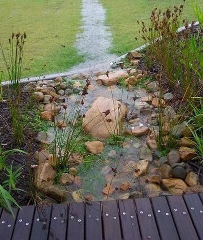 Rain Garden Rollingwood City Hall Central Texas Gardener
