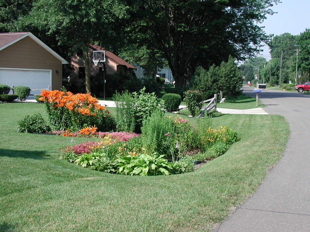Great Rain Garden Landscaping Design Ideas
