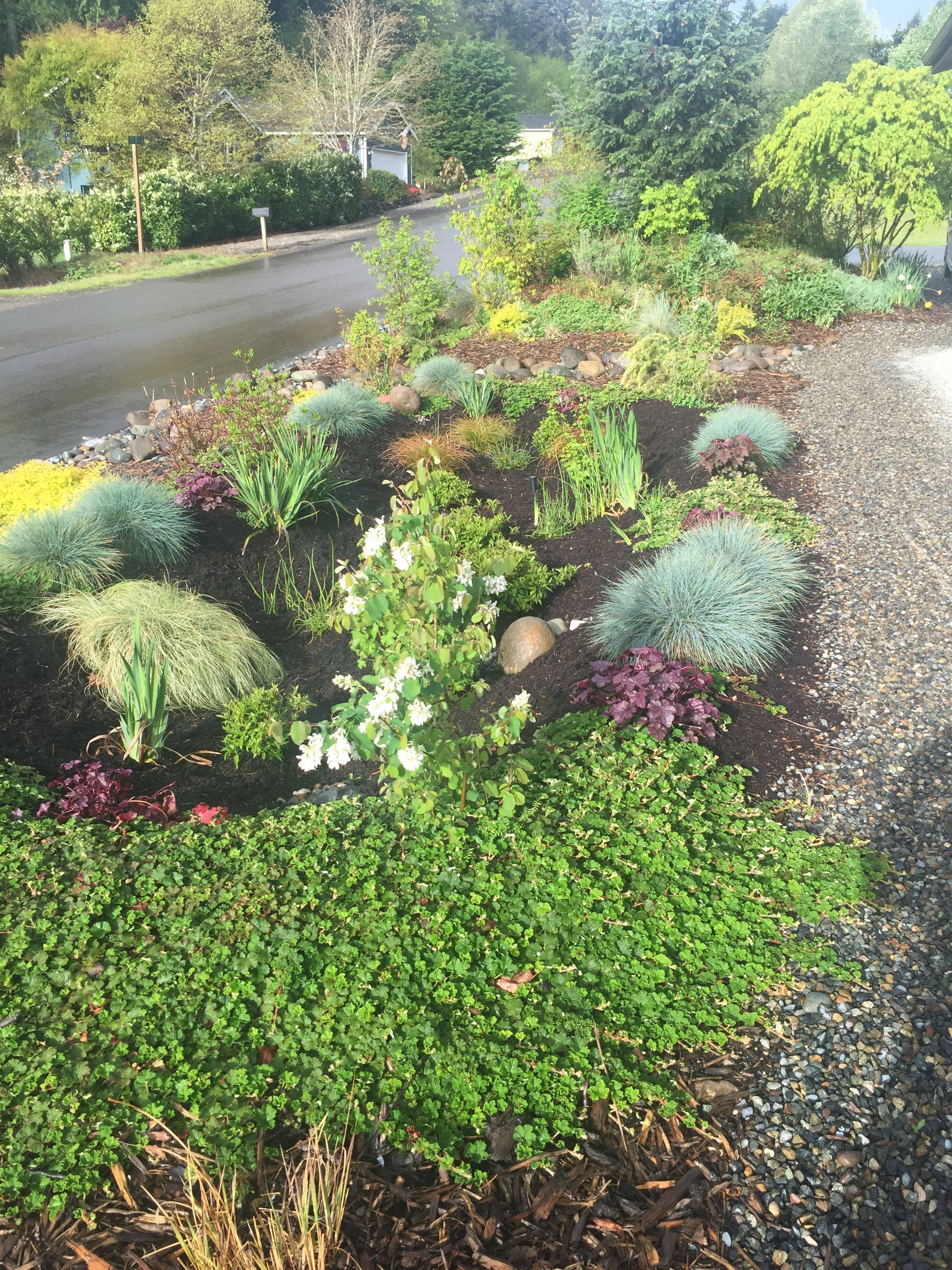 Bright Rain Garden Design Ideas Norcros News Beautiful Gardens