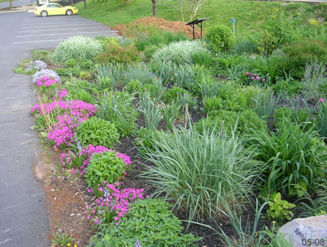 Rain Gardens Intentional Living