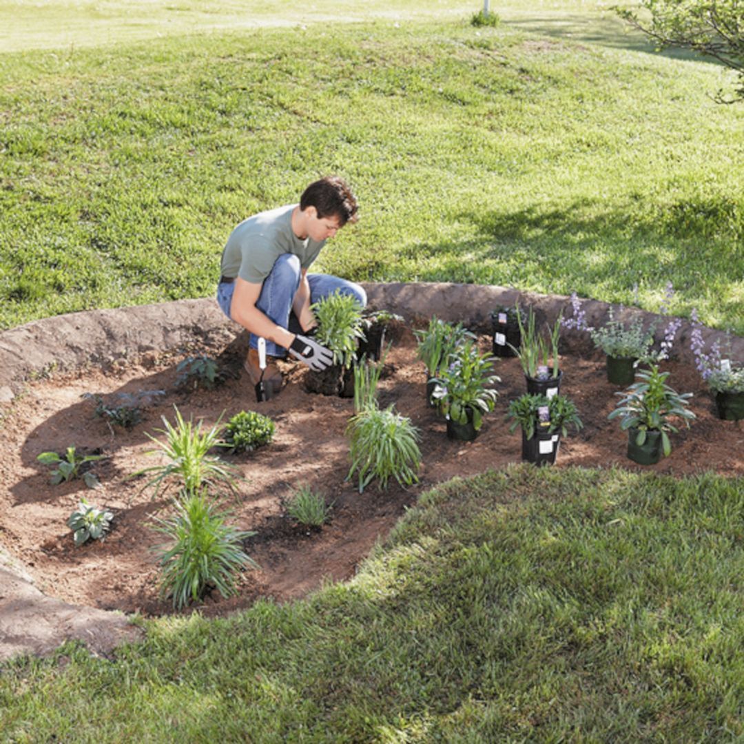 A Small Rain Garden