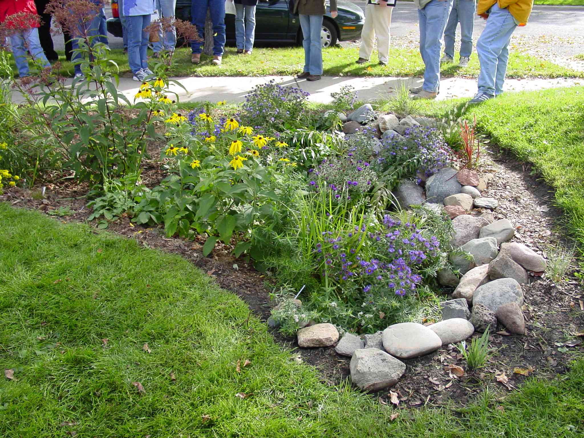 Residential Bioswale Or Rain Garden Rain Garden