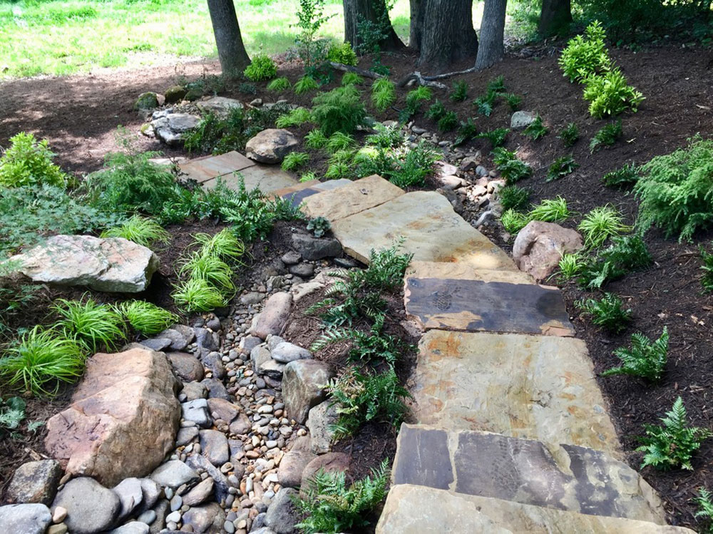 Best Rain Garden Ideas Images