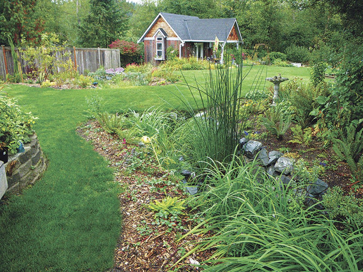 Brilliant Diy Rain Garden Ideas