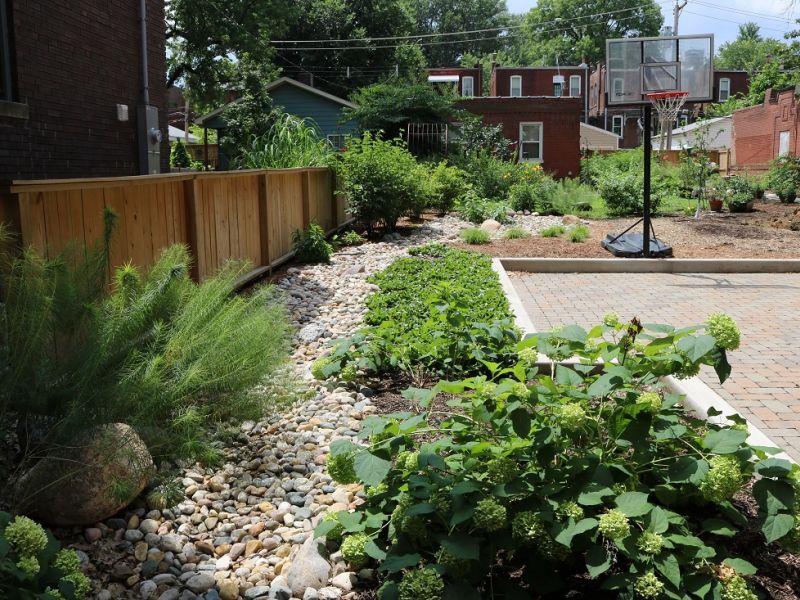 Office Rain Garden Rain Garden