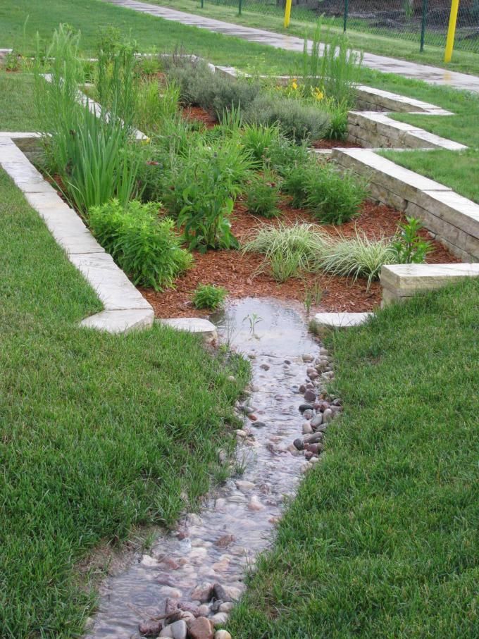 Rain Garden Designs