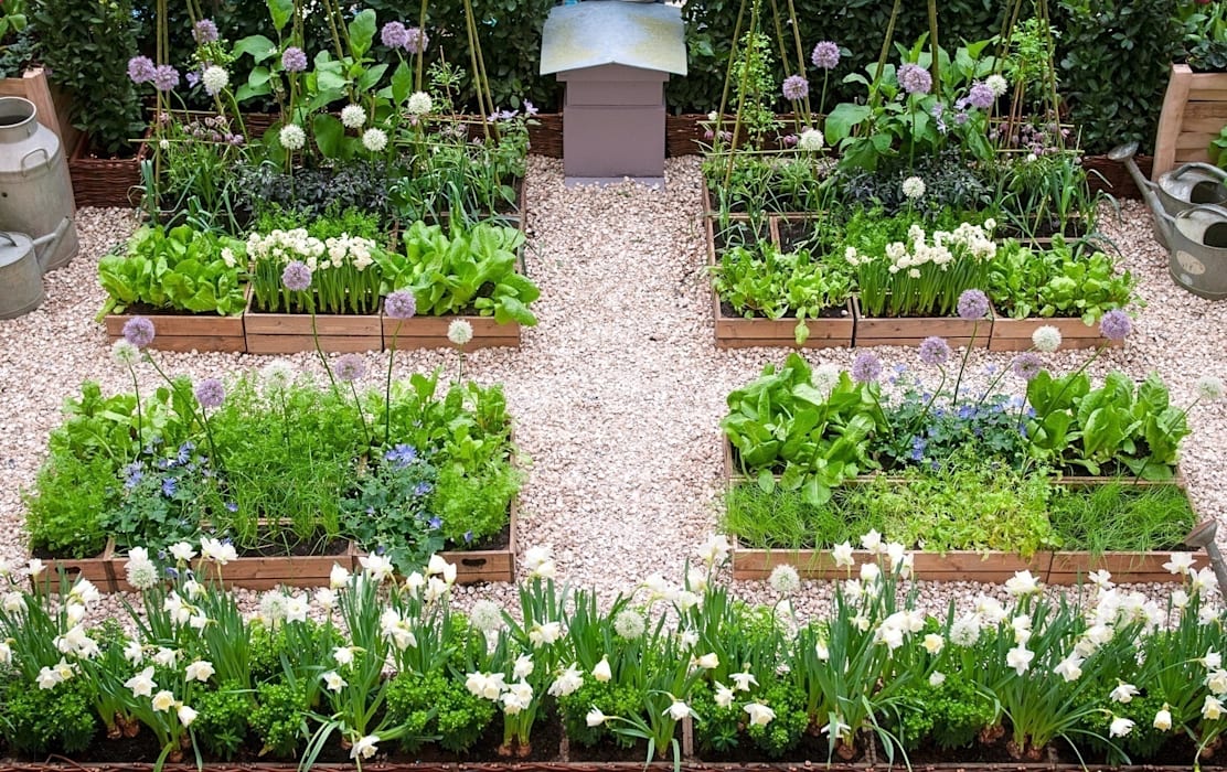 A Kitchen Garden