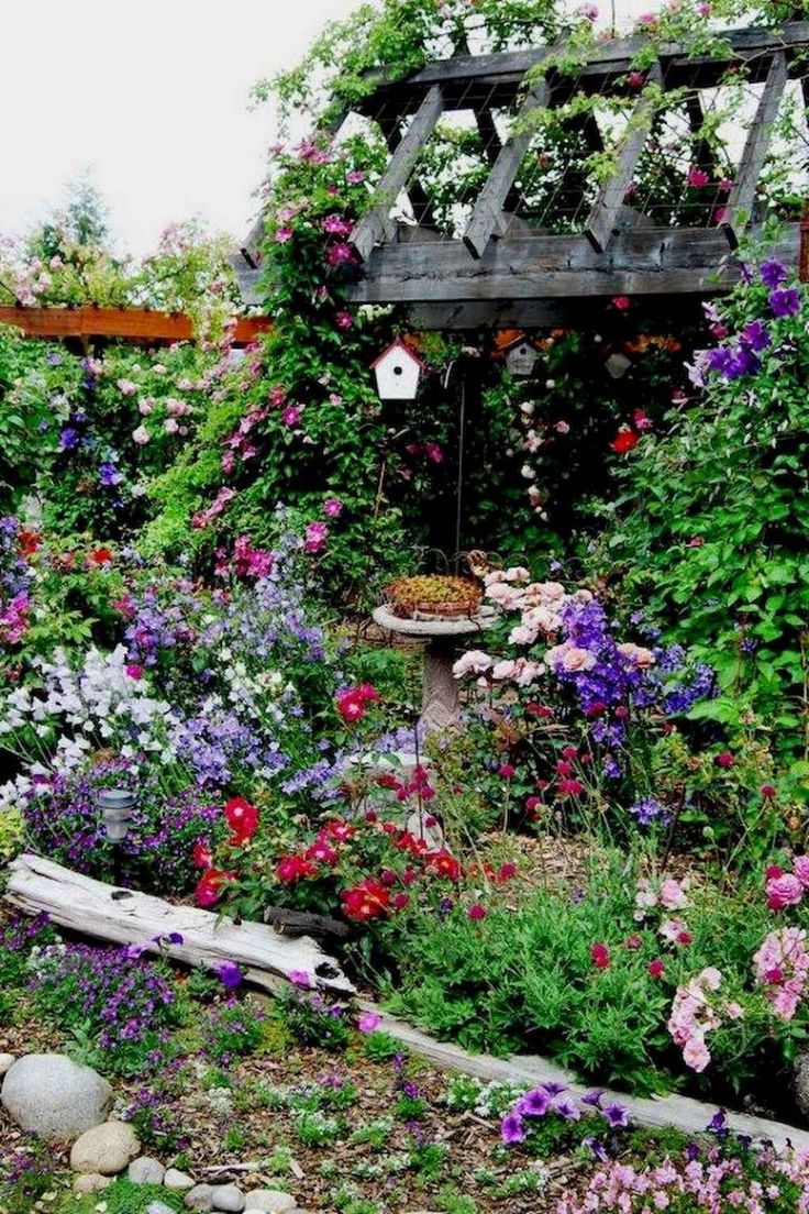 Garden Ideas