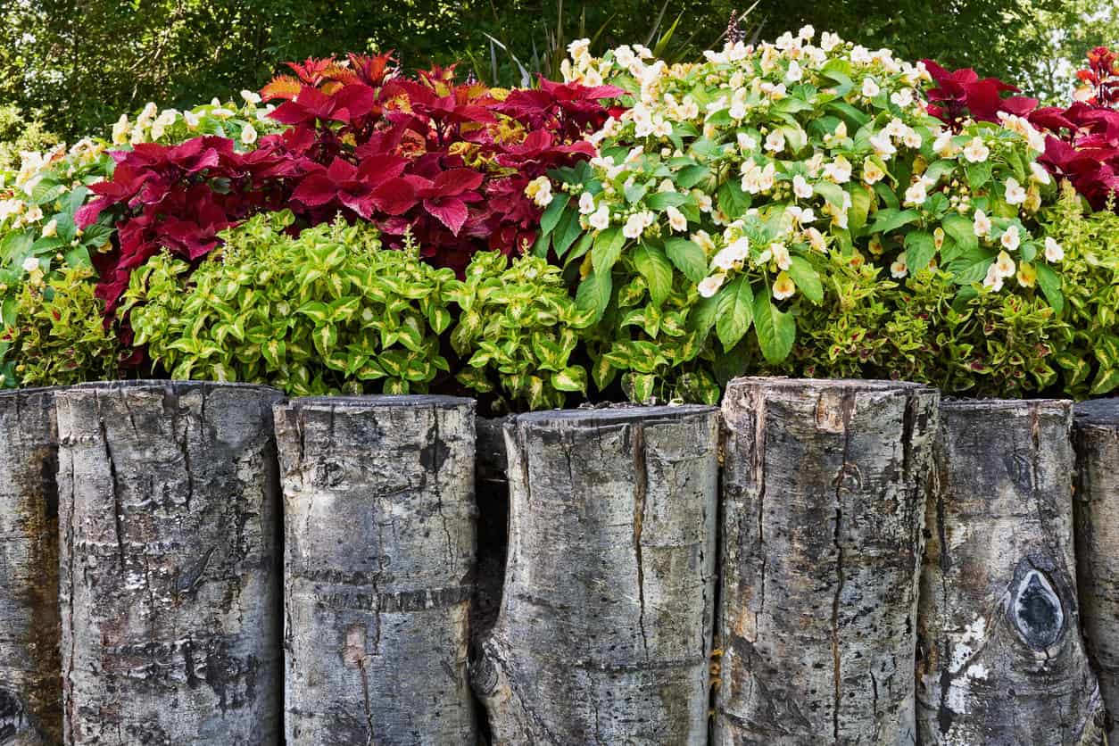 The Top Garden Wall Ideas Landscaping Design