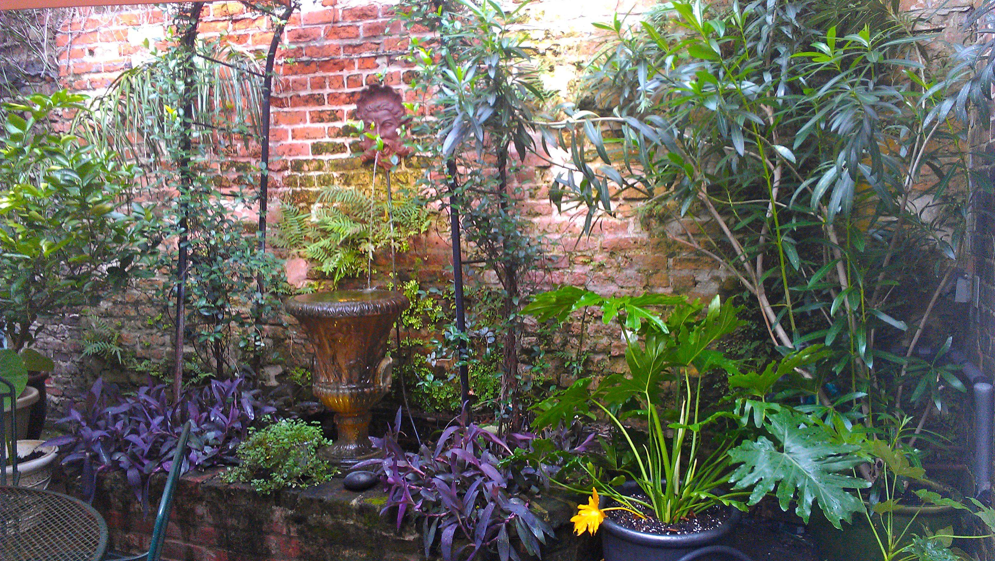 Garden Ideas
