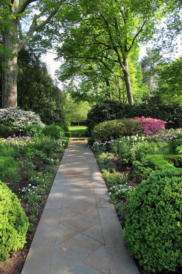 Woodland Garden Ideas