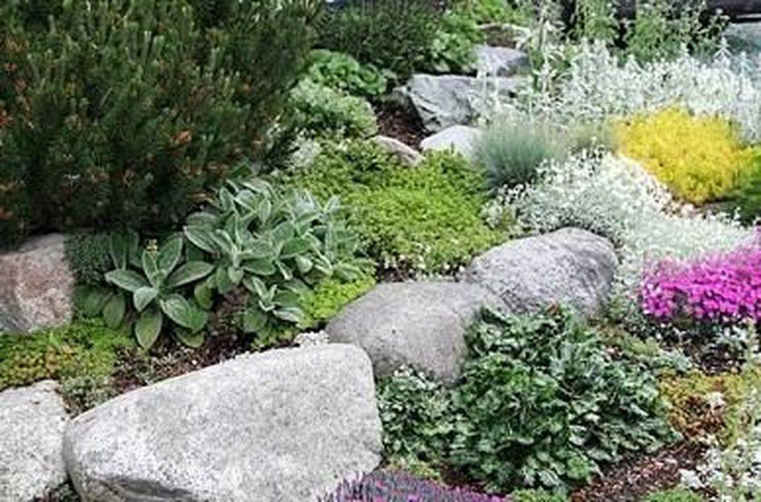 Unique Garden Rock Ideas Garden Ideas