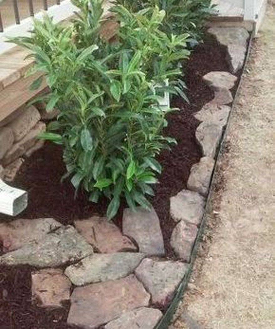 Backyard Rock Garden Design