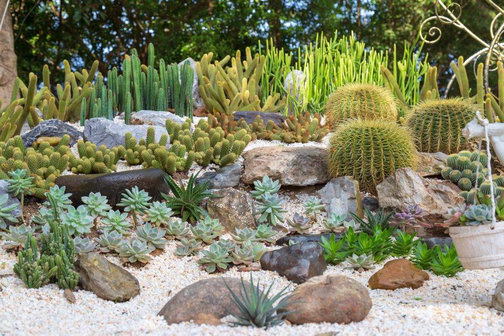 Stunning Rock Garden Landscaping Design Ideas