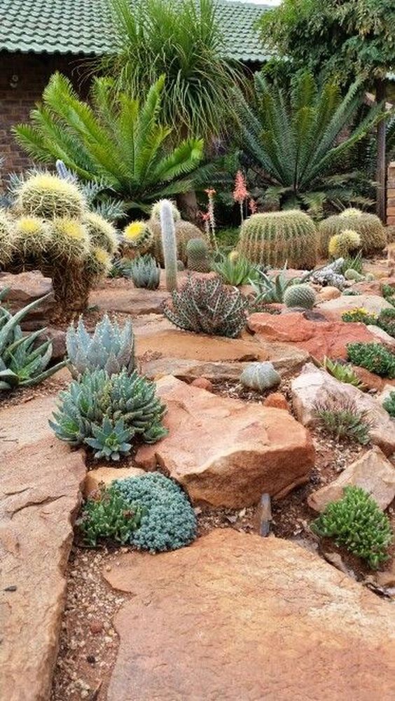 Stunning Desert Garden Landscaping Ideas