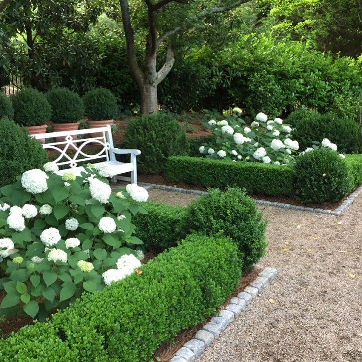 Landscaping Boxwood Shrubs
