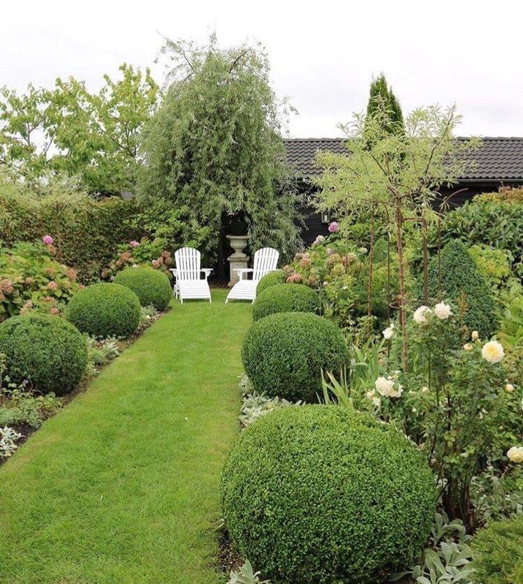 Beautiful Boxwood Garden Ideas