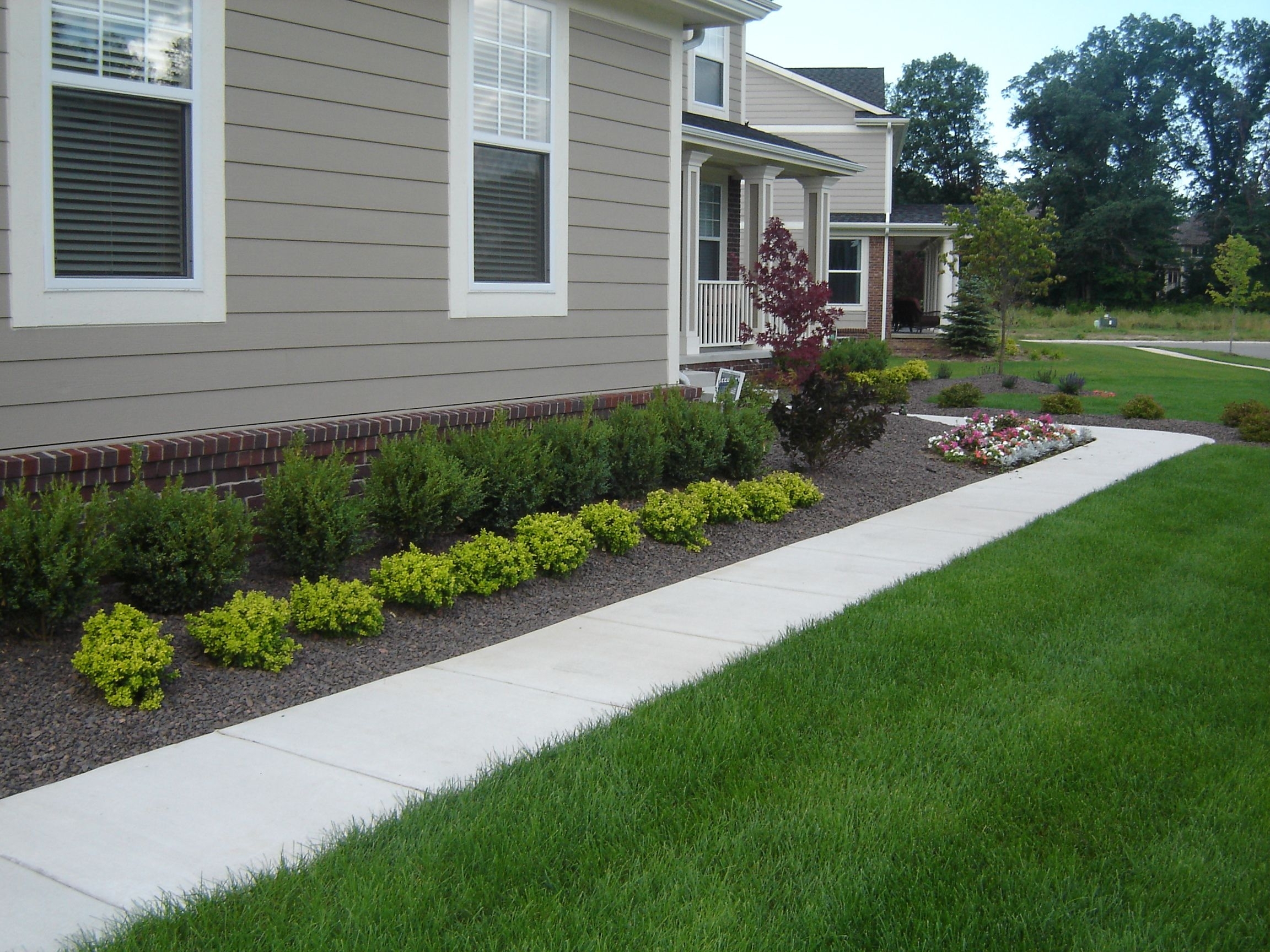 Landscaping Boxwood Shrubs